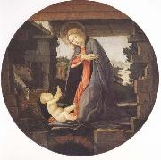 Sandro Botticelli, Madonna in Adoration of the Christ Child